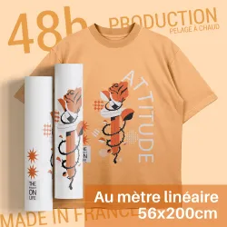 Transfert DTF Textile 2 mètres linéaires 56 cm | Standard 48h | Impression DTF