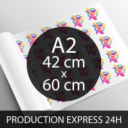 Impression DTF A2 42 x 60...